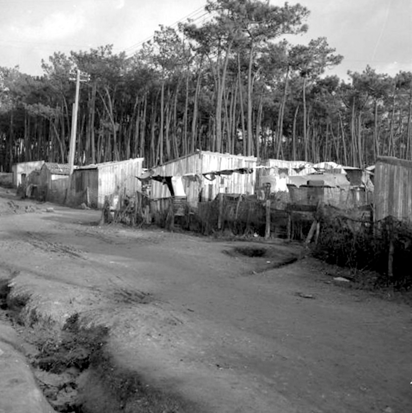 1960